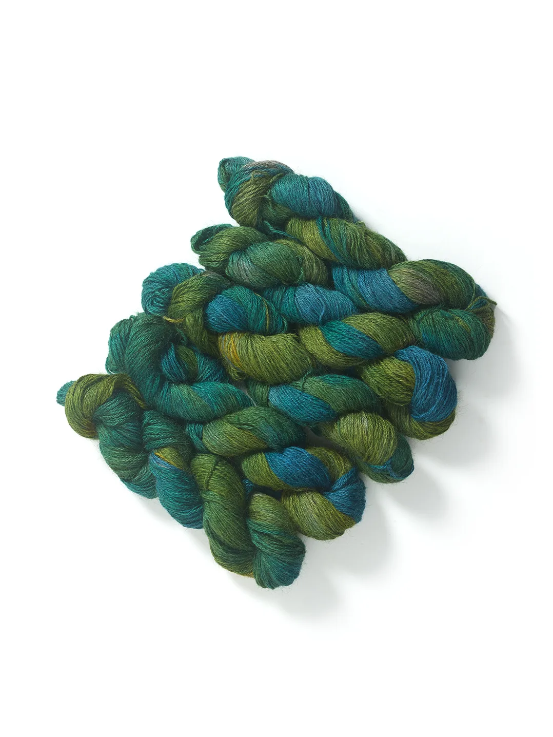 PARAKEET DK 5